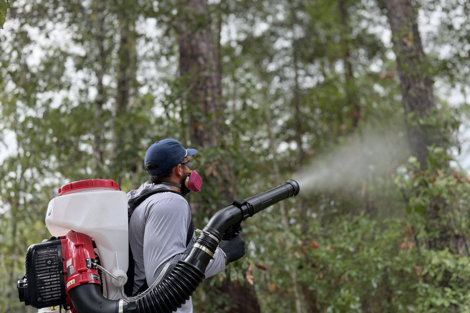 Spraying the mosquito barrier into a wooded tree line with a backpack mist blower, in a cap and a half-face respirator