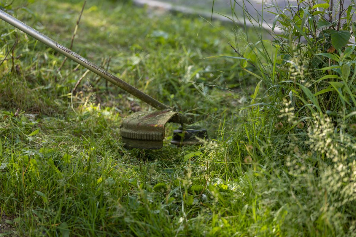 Crisp detail work