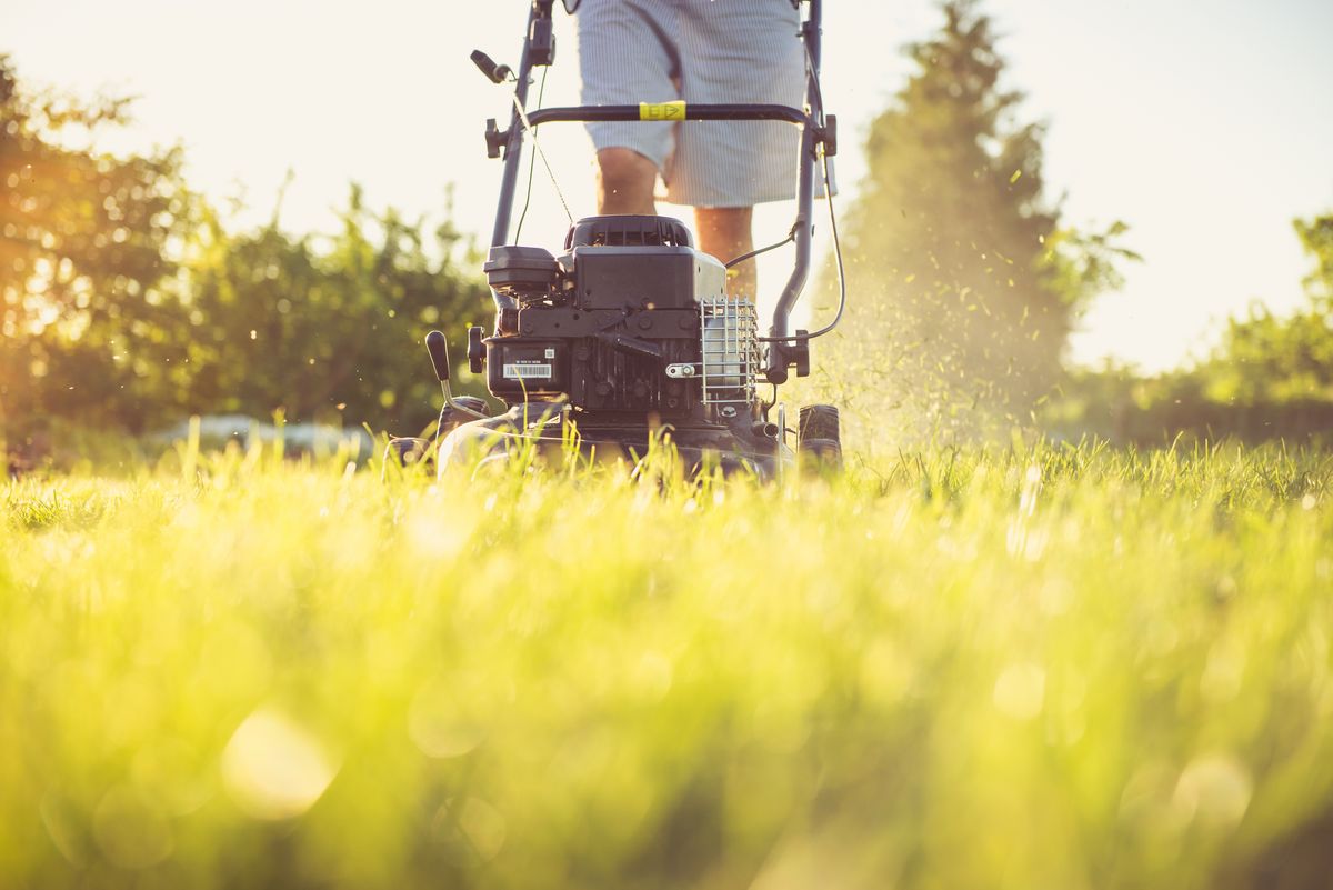 Weekly mowing